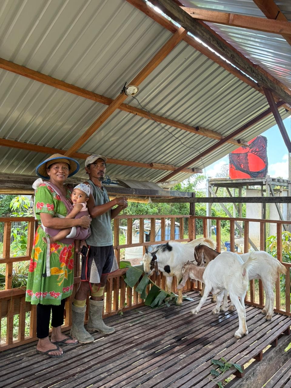 Realisasi bantuan 2 (dua) ekor Kambing Jantan dan Betina pada Kelompok Tani Bahagia 