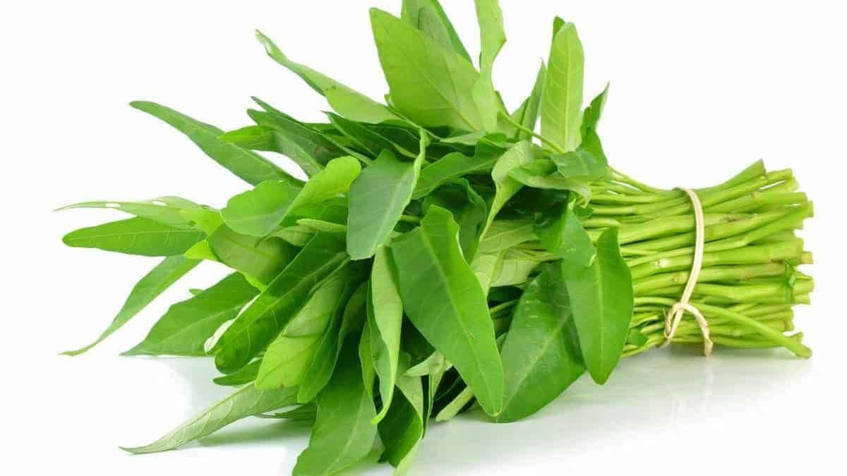 Kangkung Ikat Segar
